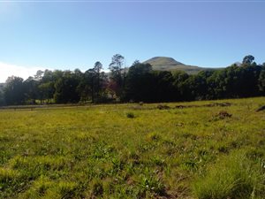 1089 m² Land available in Underberg