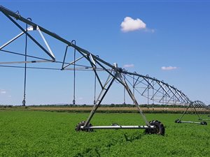 48 ha Farm in Upington