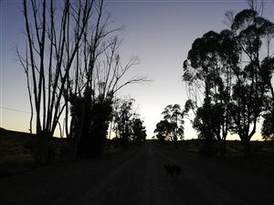 1285 m² Land available in Willowmore