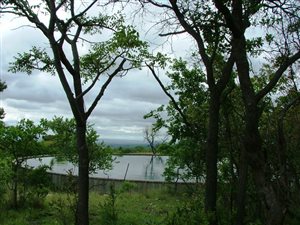 3.7 ha Farm in Vaalwater