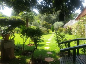 4 Bed House in Larrendale