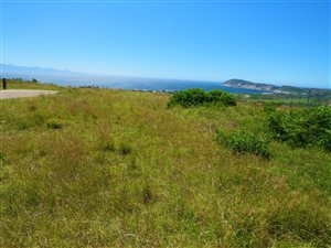 598 m² Land available in Whale Rock