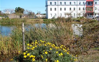 102 m² Commercial space in Firgrove