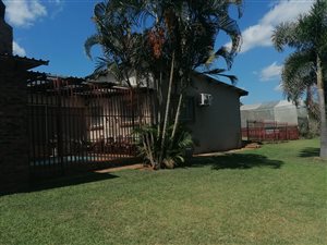 4 ha Farm in Tzaneen