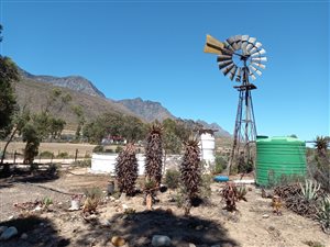 13 ha Farm in Riversdale