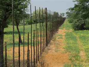 4264 ha Farm in Kuruman
