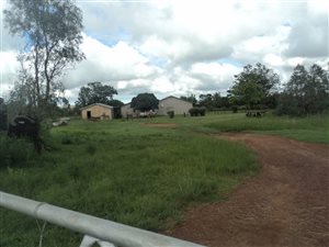 1240 ha Farm in Viljoenskroon