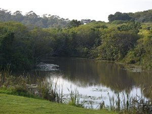 6.7 ha Farm in Hibberdene