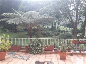 3 Bed Apartment in Atholl