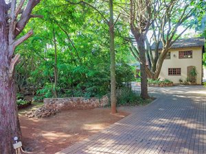 3 Bed House in Irene