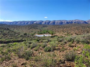 3025 ha Farm in Willowmore