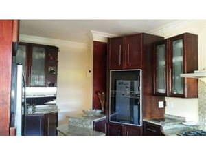 3 Bed House in Springfield
