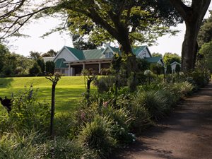 3 Bed House in Winston Park