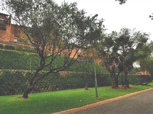 1 Bed Apartment in Helderkruin
