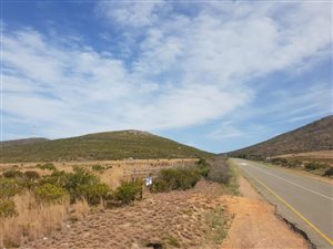 80 ha Farm in Albertinia
