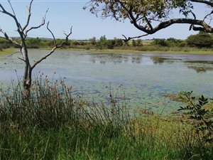 65 ha Farm in Empangeni