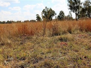 1980 m² Land available in Highbury