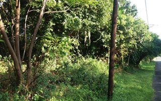1806 m² Land available in Clansthal