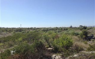 4049 m² Land available in Weltevreden Valley