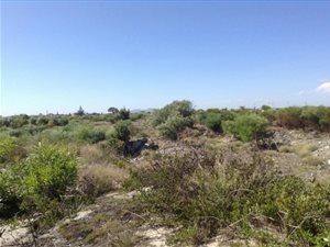 4049 m² Land available in Weltevreden Valley