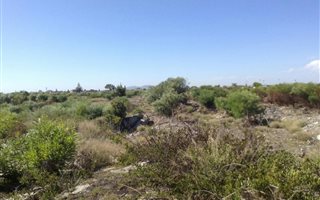 4049 m² Land available in Weltevreden Valley