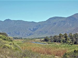12.8 ha Farm in Stanford