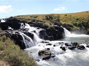 372 ha Farm in Howick
