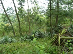 5864 m² Land available in Crestholme