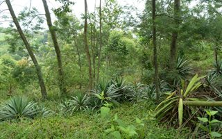 5864 m² Land available in Crestholme