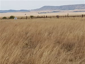 1512 ha Farm in Dewetsdorp