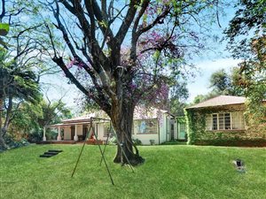 5 Bed House in Bramley