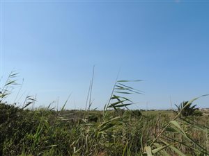 600 m² Land available in Bettys Bay