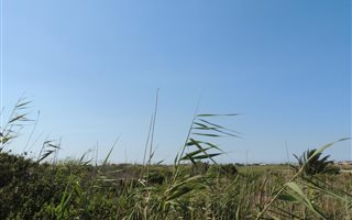 600 m² Land available in Bettys Bay