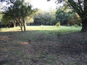 4.2 ha Land available in Equestria