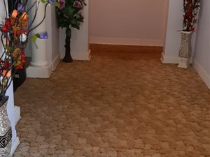 4 Bed House in Mayfair West
