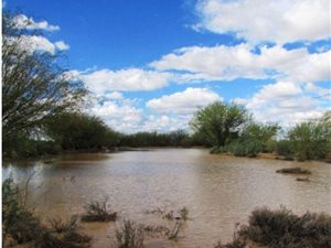 4677 ha Farm in Kenhardt