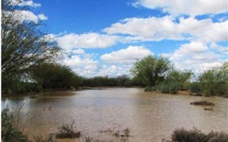 4677 ha Farm in Kenhardt