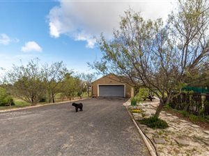 1 ha Farm in Morningstar