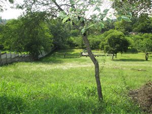956 m² Land available in Lynnwood Manor