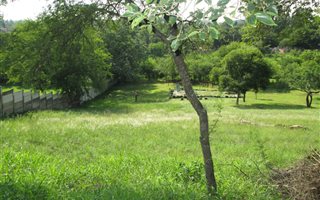 956 m² Land available in Lynnwood Manor