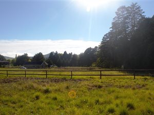 1353 m² Land available in Underberg