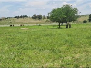 1 ha Land available in Bridle Park AH