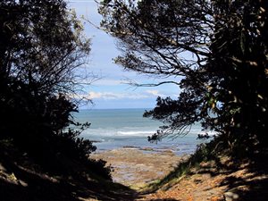 6000 m² Land available in Kei Mouth