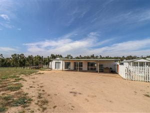 1 ha Farm in Malmesbury