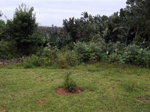 2033 m² Land available in Trafalgar