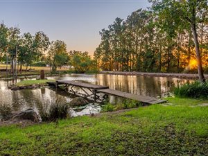 5.2 ha Farm in Stellenbosch Agricultural
