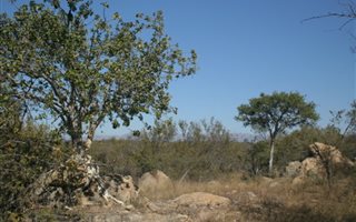 7500 m² Land available in Lissataba