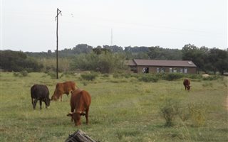 Smallholding in Deneysville