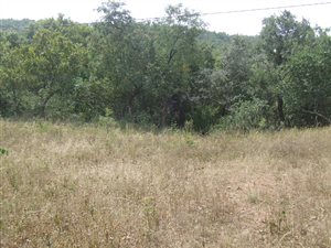 1340 m² Land available in Kranspoort