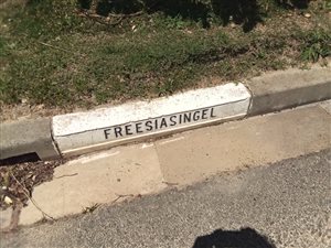 504 m² Land available in Mountainside